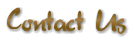 Contact Frankie Roma