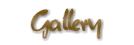 Frankie Roma Gallery